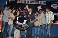 Madhumati Movie Audio Release
